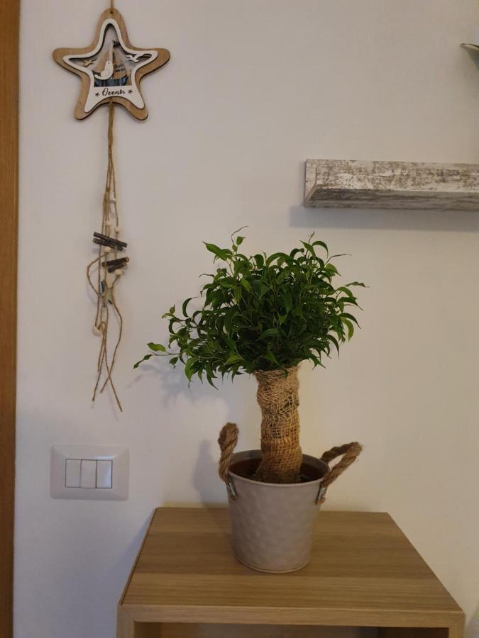 Bella Alba Apartment On The Beach 阿尔巴·阿德里亚蒂卡 外观 照片
